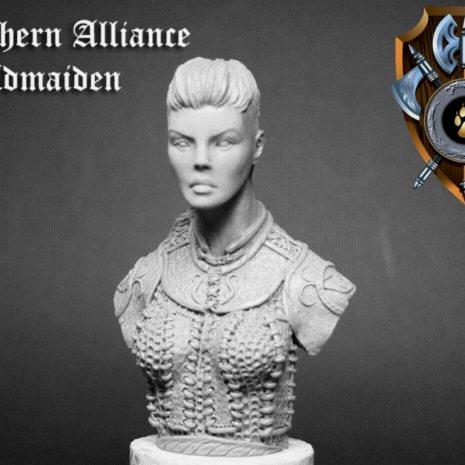 Shieldwolf Miniatures Northern Alliance Shieldmaiden Bust