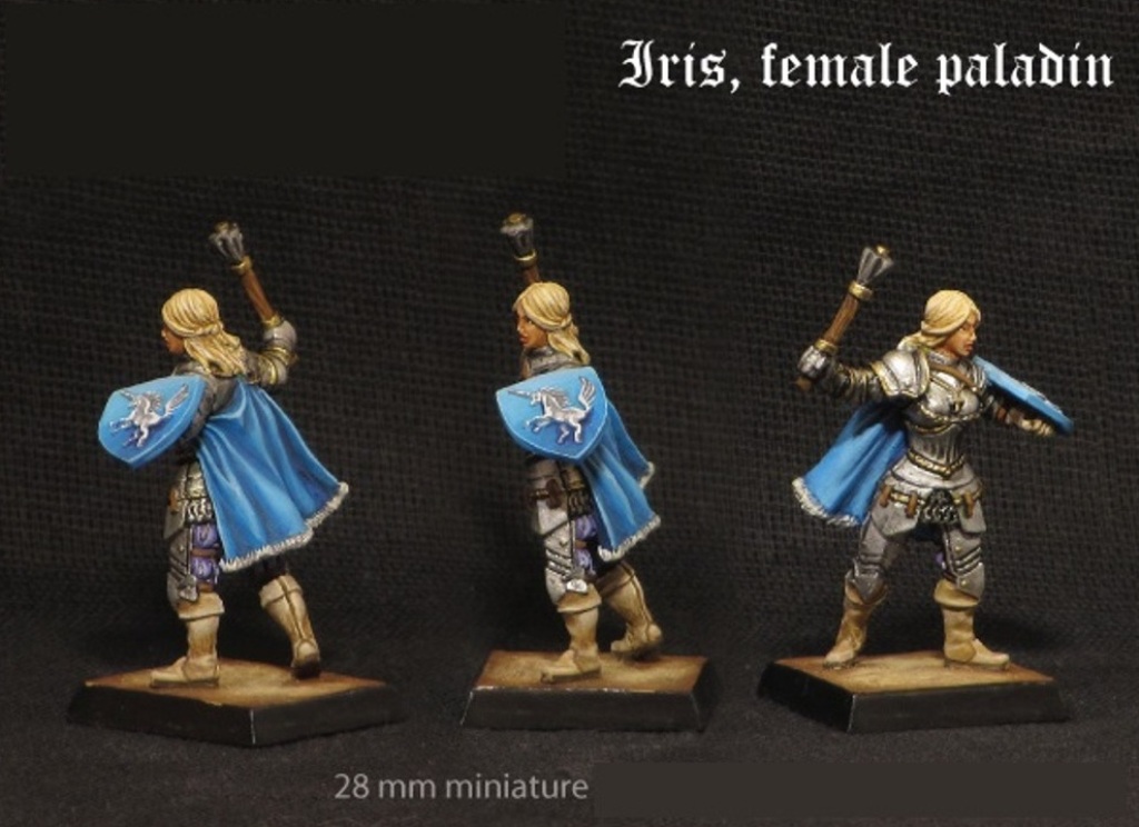Brother Vinni Miniatures Iris The Female Paladin Knight In Armour
